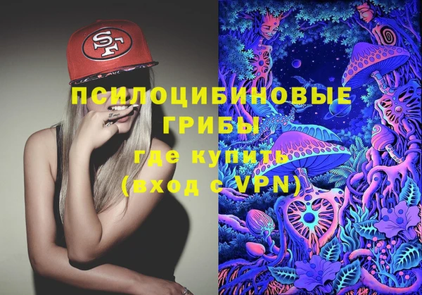 бошки Армянск
